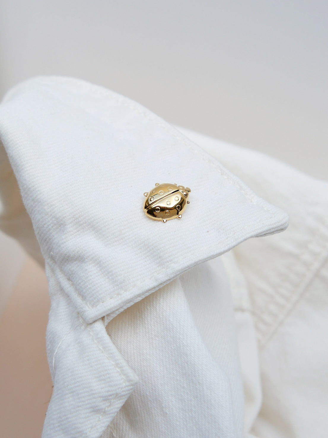 Pin's coccinelle