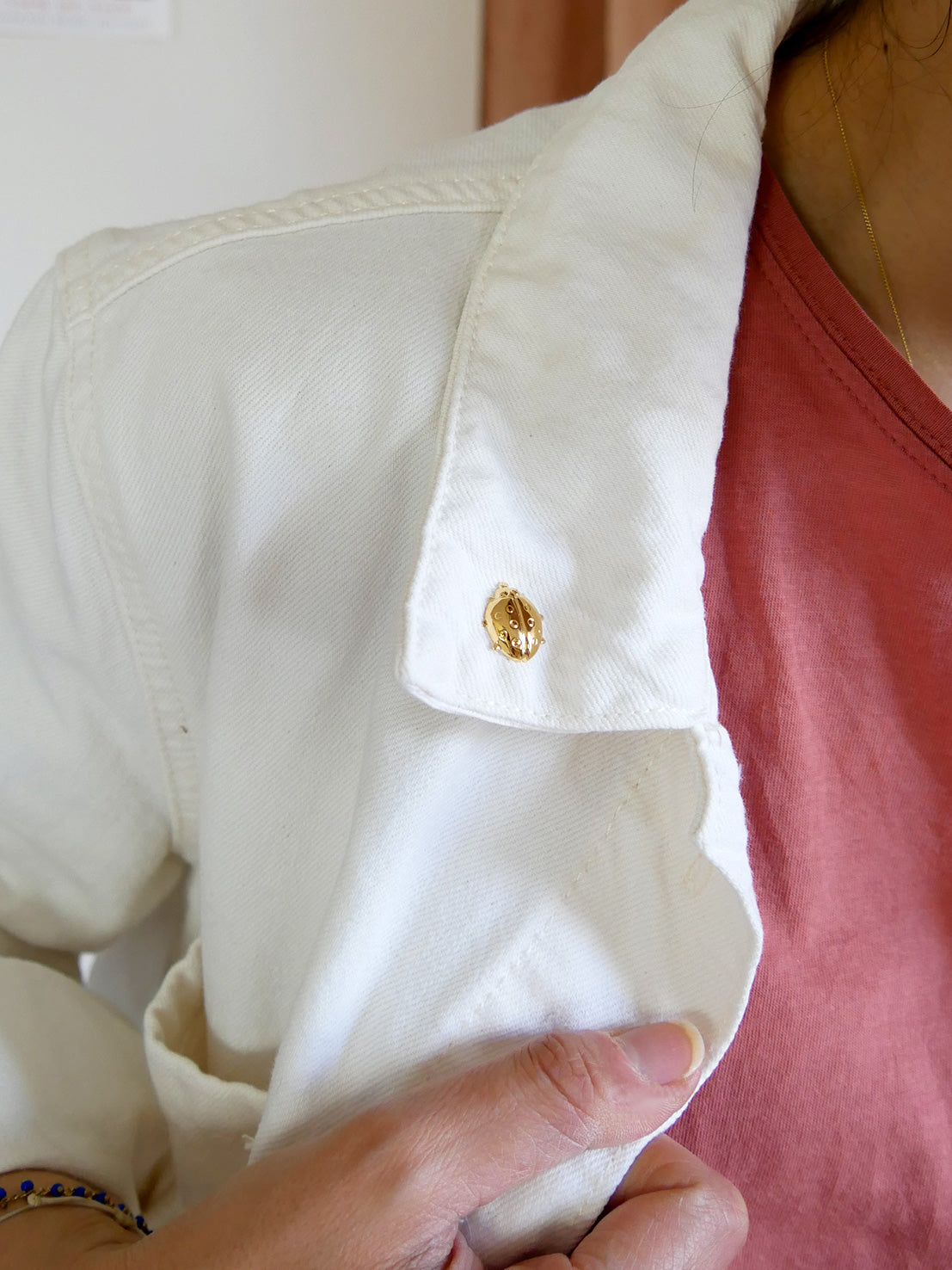 Pin's coccinelle