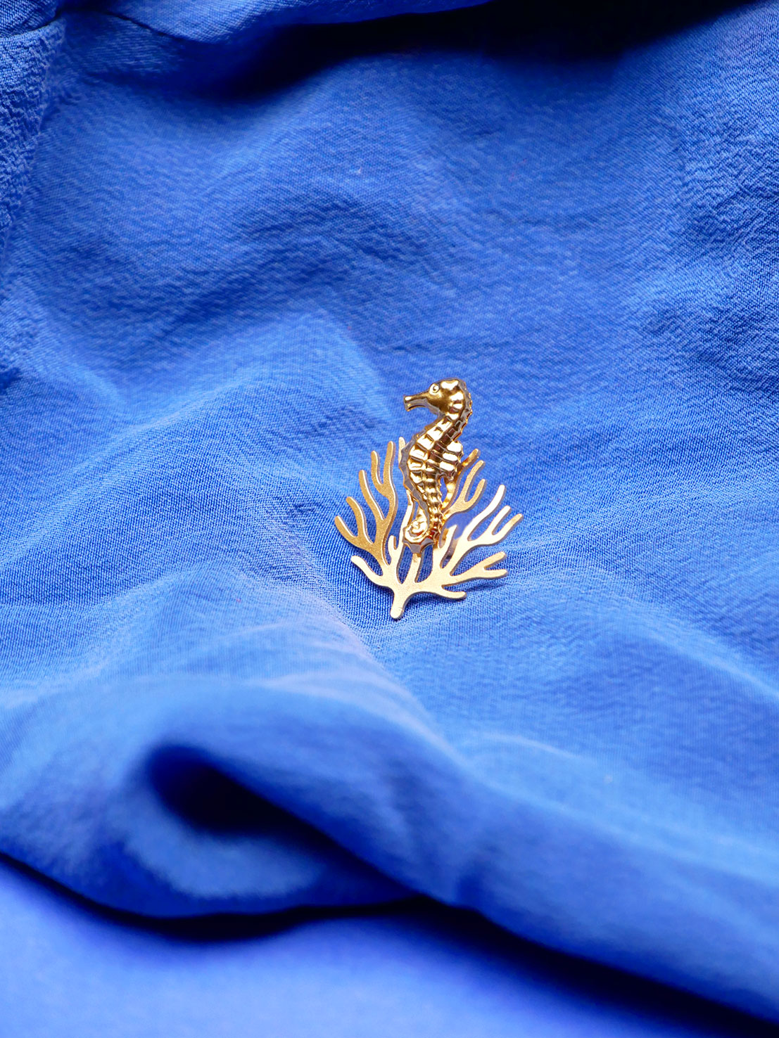 Pin's hippocampe