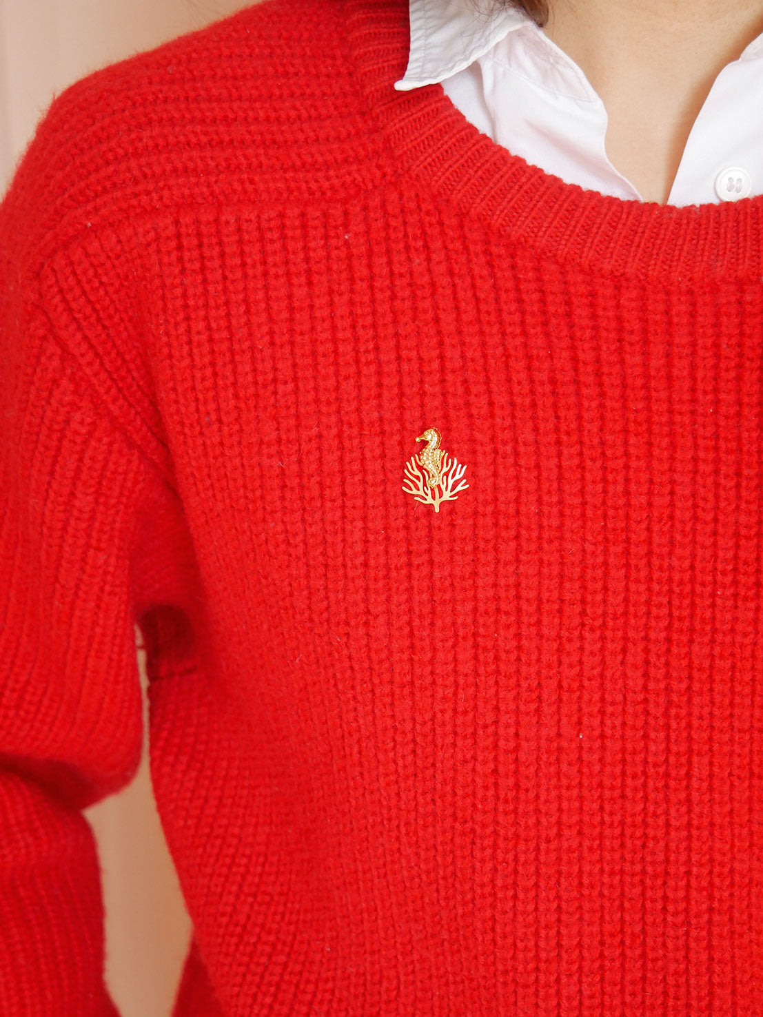 Pin's hippocampe