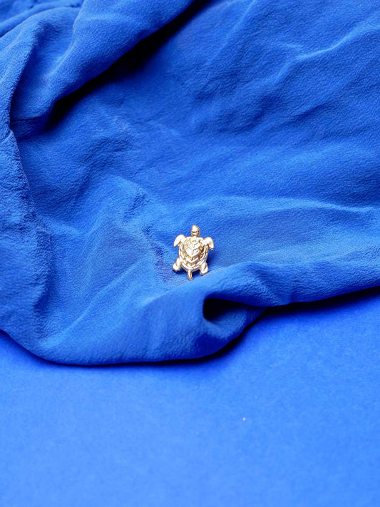 Pin's tortue