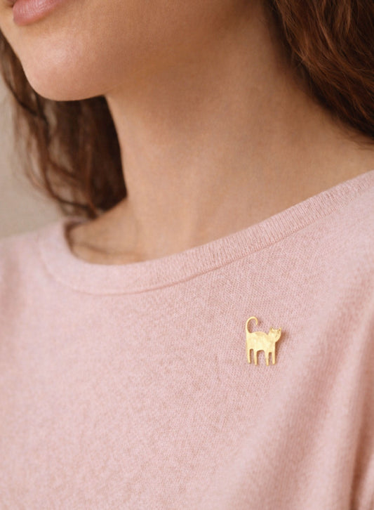 Pin's Neko (chat)
